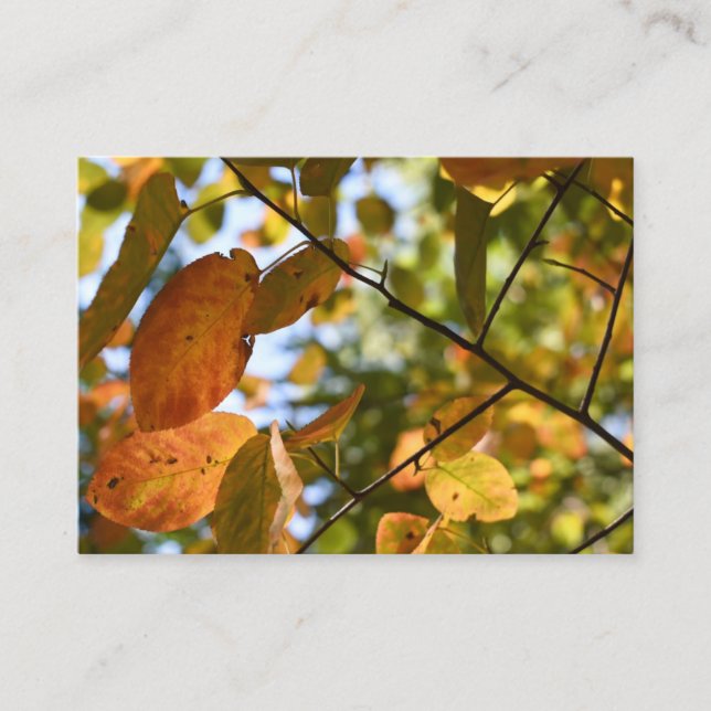 Fall Leaf Autumn Leaves Sky Nature Photography Business Card (Front)