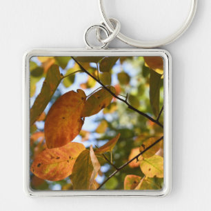 Fall Leaf Autumn Leaves Sky Nature Photography Key Ring
