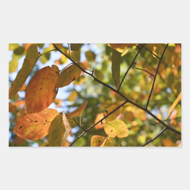 Fall Leaf Autumn Leaves Sky Nature Photography Rectangular Sticker (Front)