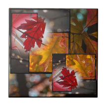 Fall Leaf Collage Small Tile