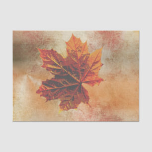 Fall Leaf Pumpkim Wrap Decoupage Tissue Paper