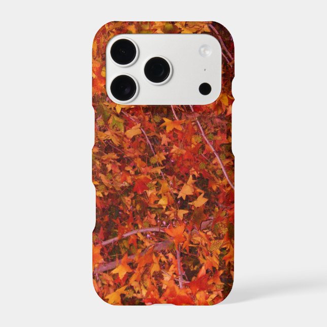 Fall Leaves (Back)