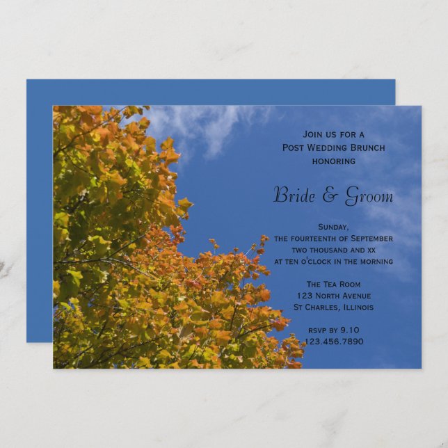 Fall Leaves and Blue Sky Post Wedding Brunch Invitation (Front/Back)