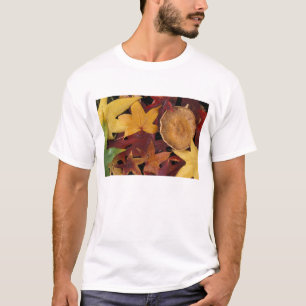 Fall leaves and toadstool T-Shirt