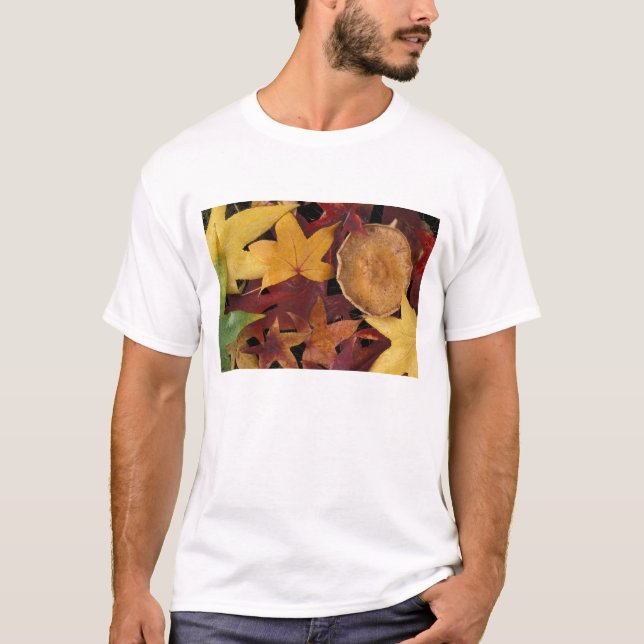 Fall leaves and toadstool T-Shirt (Front)