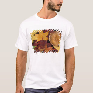 Fall leaves and toadstool T-Shirt