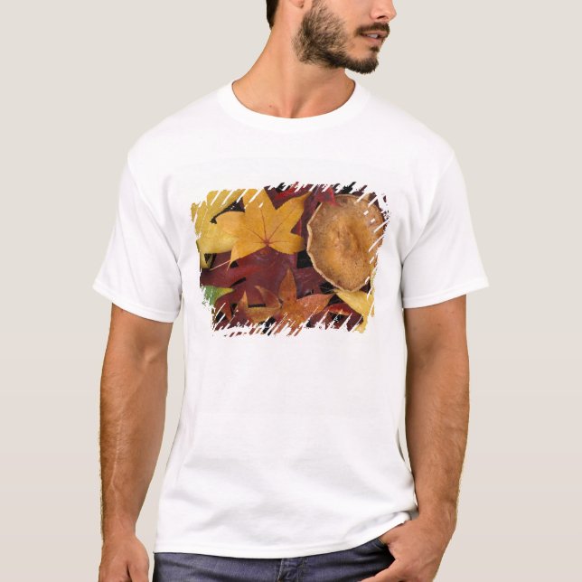 Fall leaves and toadstool T-Shirt (Front)