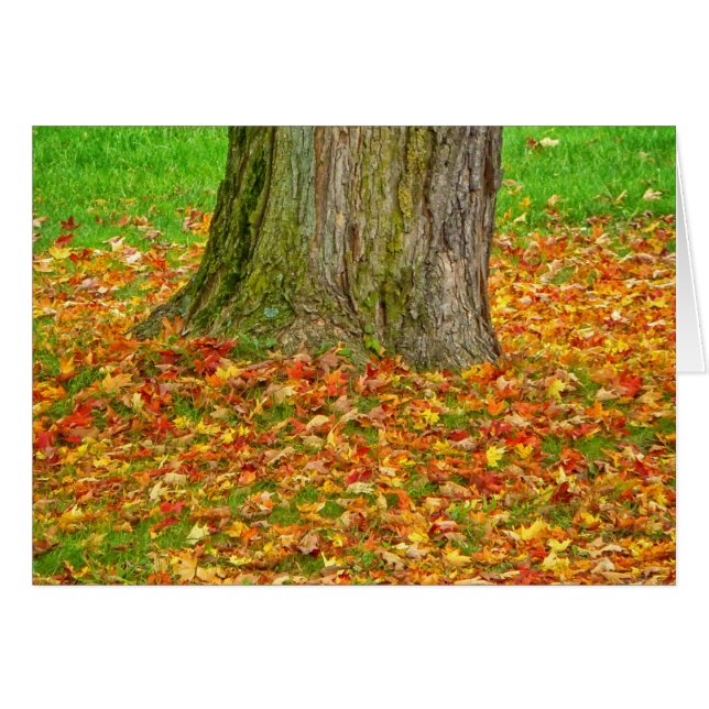 Fall Leaves Around Tree (Front Horizontal)