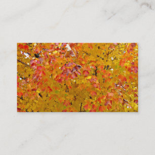 Fall Leaves Business Cards, Autumn Leaves, Nature Card