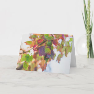 Fall Leaves Card