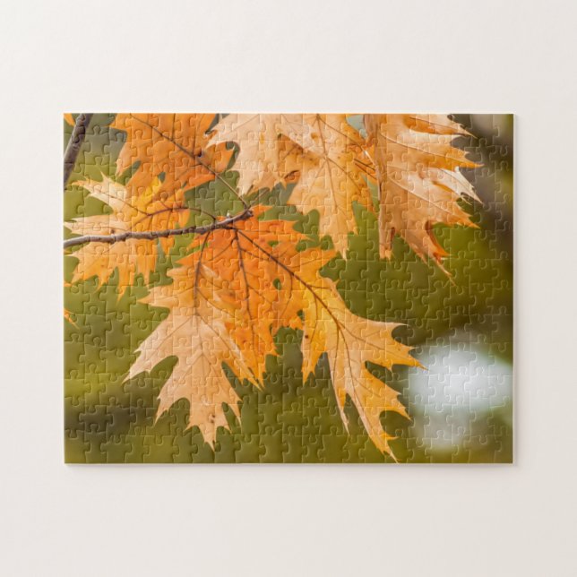 Fall leaves close-up photo puzzle (Horizontal)