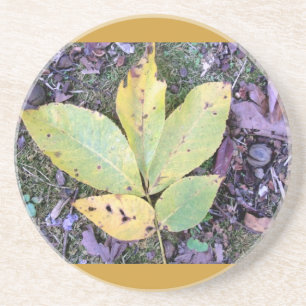 Fall Leaves Coaster
