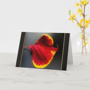 Fall Leaves Greeting Card