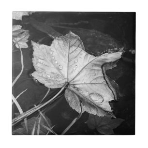 Fall Leaves in a Pond Black and White Ceramic Tile