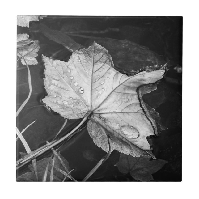 Fall Leaves in a Pond Black and White Ceramic Tile (Front)