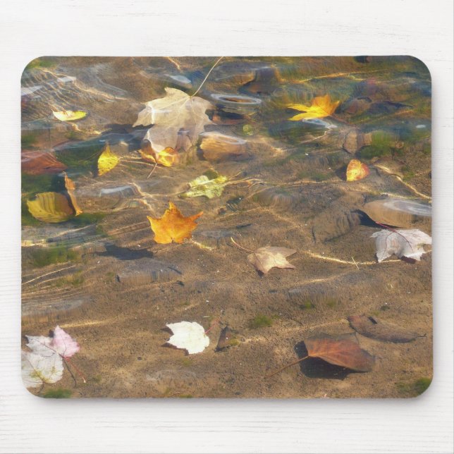 Fall Leaves in Pond Water Nature Photography Mouse Pad (Front)