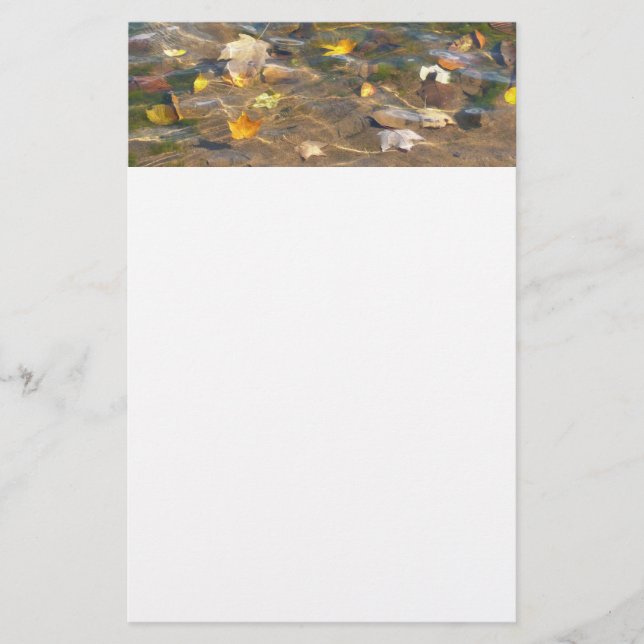 Fall Leaves in Pond Water Nature Photography Stationery (Front)