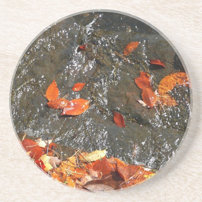 Fall Leaves in Waterfall I Autumn Photography Coaster (Front)