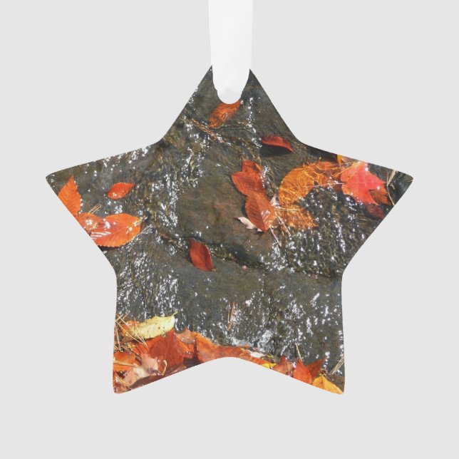 Fall Leaves in Waterfall I Autumn Photography Ornament (Front)