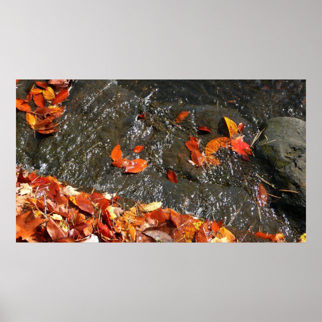 Fall Leaves in Waterfall I Autumn Photography Poster (Front)
