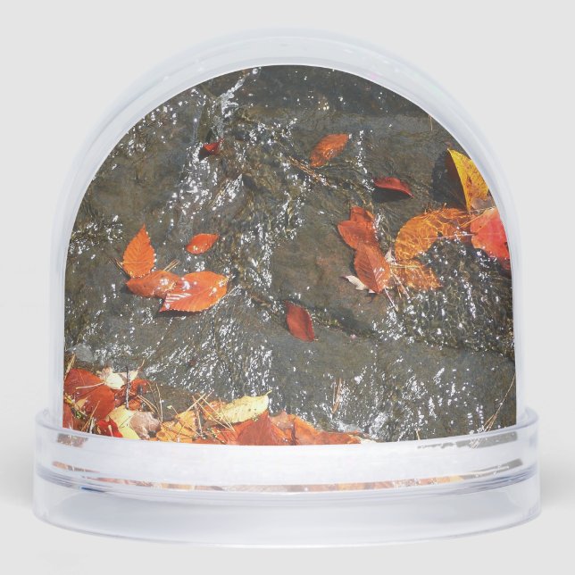 Fall Leaves in Waterfall I Autumn Photography Snowglobe (Front)
