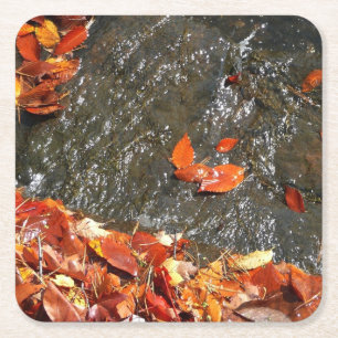 Fall Leaves in Waterfall I Autumn Photography Square Paper Coaster