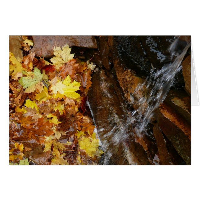 Fall Leaves in Waterfall III Autumn Nature (Front Horizontal)