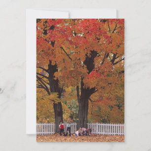 Fall Leaves Invitation