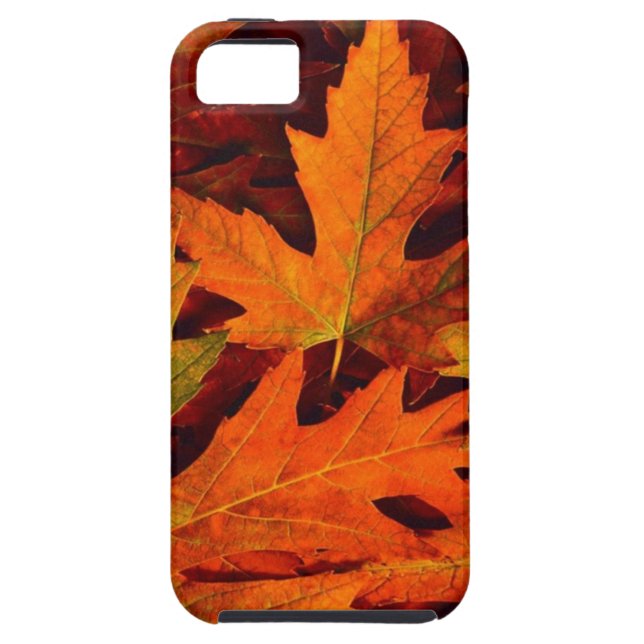 Fall leaves iphone5 case (Back)