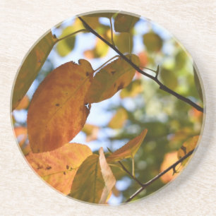 Fall Leaves Leaf Peeping Autumn Nature Photography Coaster