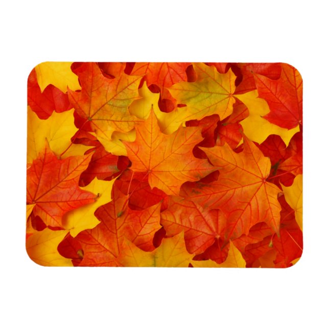 Fall Leaves Magnet (Horizontal)
