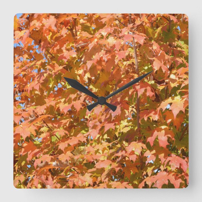 Fall Leaves On A Tree Scenery Square Wall Clock (Front)