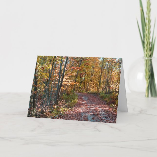 Fall leaves, path in woods, Autumn landscape Holiday Card (Front)