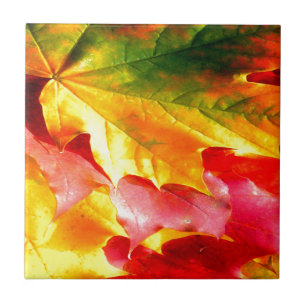 Fall Leaves Personalise it Yellow, Red, Green, Ceramic Tile