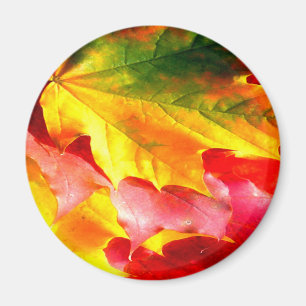 Fall Leaves Personalise it Yellow, Red, Green, Magnet