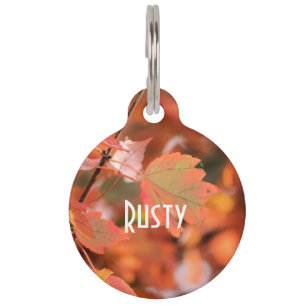 Fall leaves pet tag