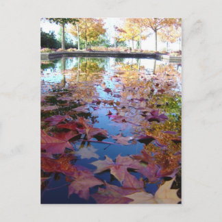 Fall leaves postcard