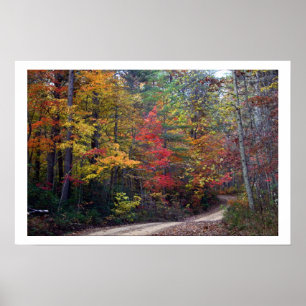 fall leaves poster