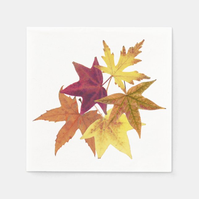 Fall leaves print napkins (Front)