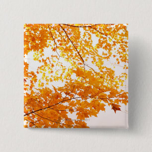 Fall Leaves Reflection 15 Cm Square Badge