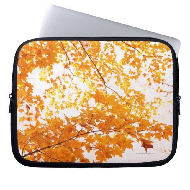 Fall Leaves Reflection Laptop Sleeve (Front)