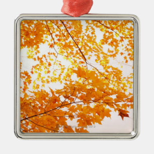 Fall Leaves Reflection Metal Ornament