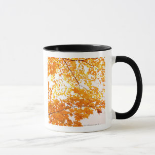 Fall Leaves Reflection Mug
