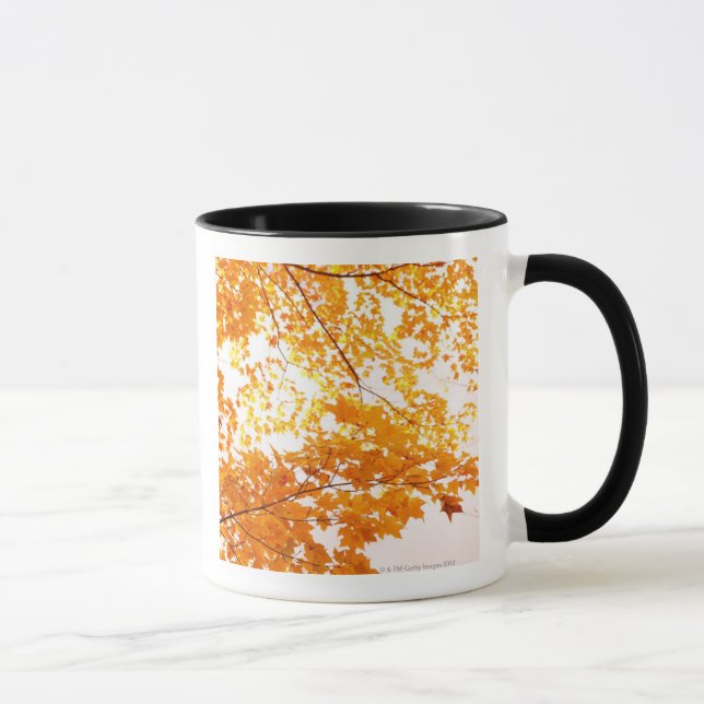 Fall Leaves Reflection Mug (Right)