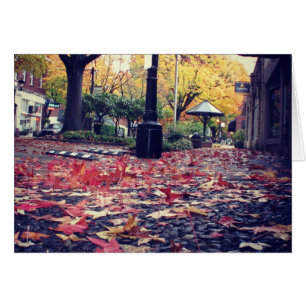 Fall Leaves Sidewalk View