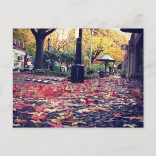 Fall Leaves Sidewalk View Postcard