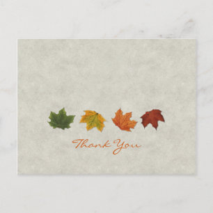 Fall Leaves Thank You postcard