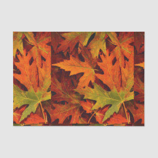 Fall leaves tissue paper