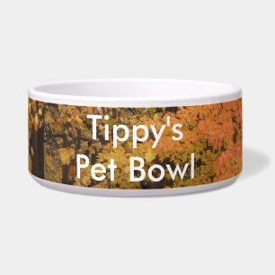 Fall Leaves Tulip Poplar Trees Pet Name