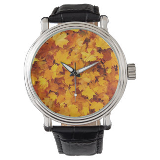 Fall Leaves Watch